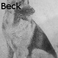 B. A. Beck - German Shepherd - Drawings