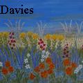 Janet Davies - Flower Delight - Paintings