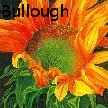Nancy Tydings Bullough - Sunflower Up Close - Paintings