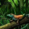 Alex Gunn - Rainbow Whiptail - Drawings