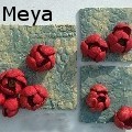 Amy Meya - Rose Garden - Ceramics