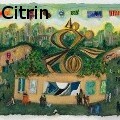 Ione Citrin -  - Water Color
