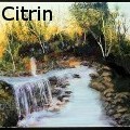Ione Citrin -  - Oil Painting