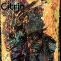 Ione Citrin -  - None