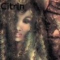 Ione Citrin -  - Oil Painting