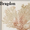Joyce Bragdon -  - None